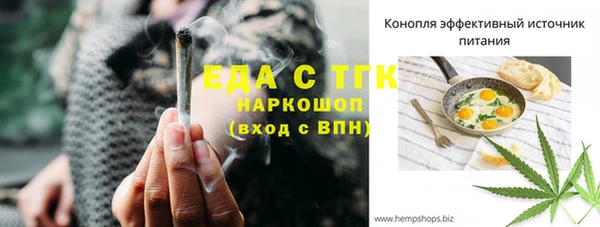СК Дмитров