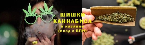 твердый Дмитриев