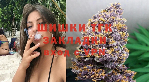 твердый Дмитриев
